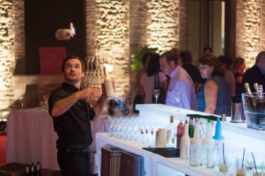 animation cocktail shows barman jongleur