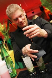 barman cocktail mixology